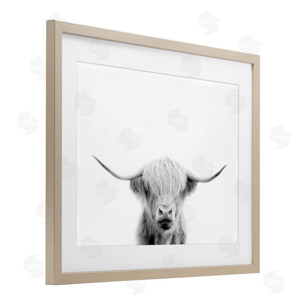 Leah Straatsma Scottish Cow Portrait Brown Framed Print Under Glass Wall Art