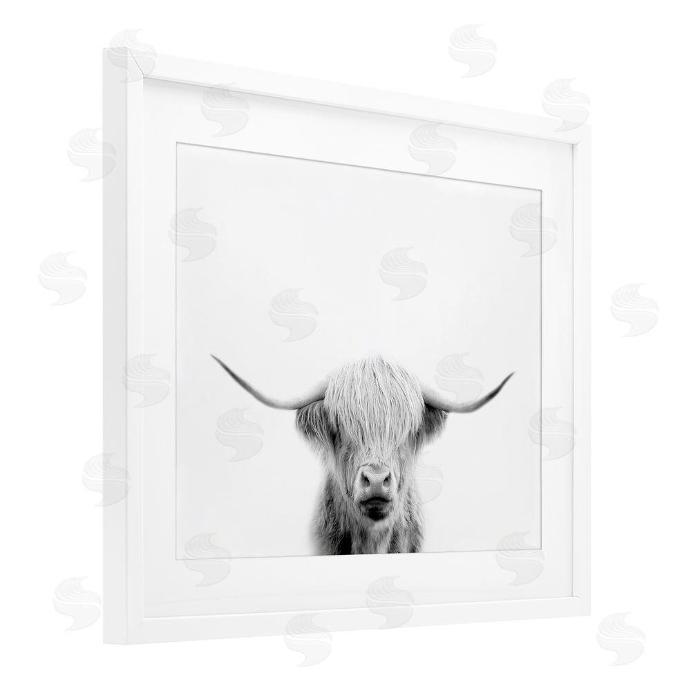 Leah Straatsma Scottish Cow Portrait White Framed Print Under Glass Wall Art