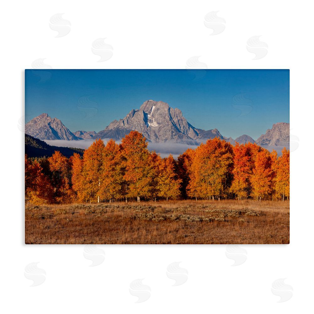 Shelley Carlisle Autumn Tree Line With Mountain Stretched Canvas Wall Art Print