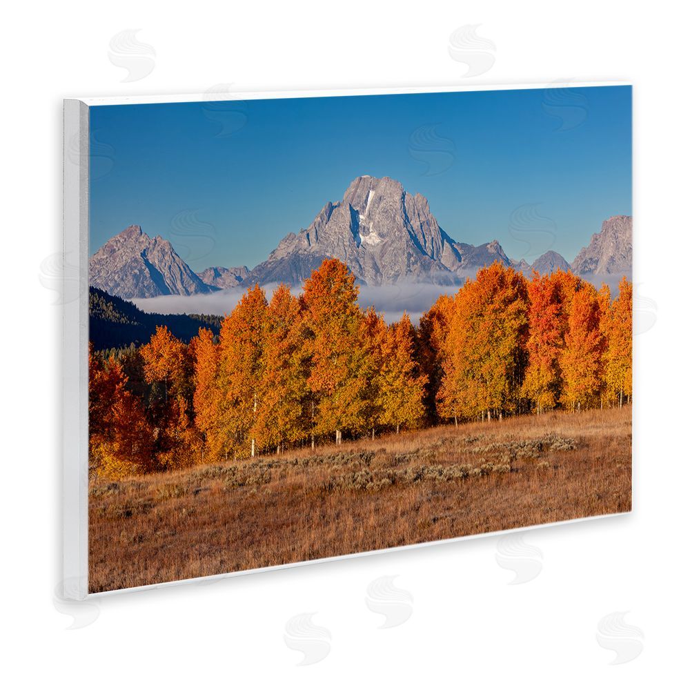 Shelley Carlisle Autumn Tree Line With Mountain Wooden Wall Plaque Art Print