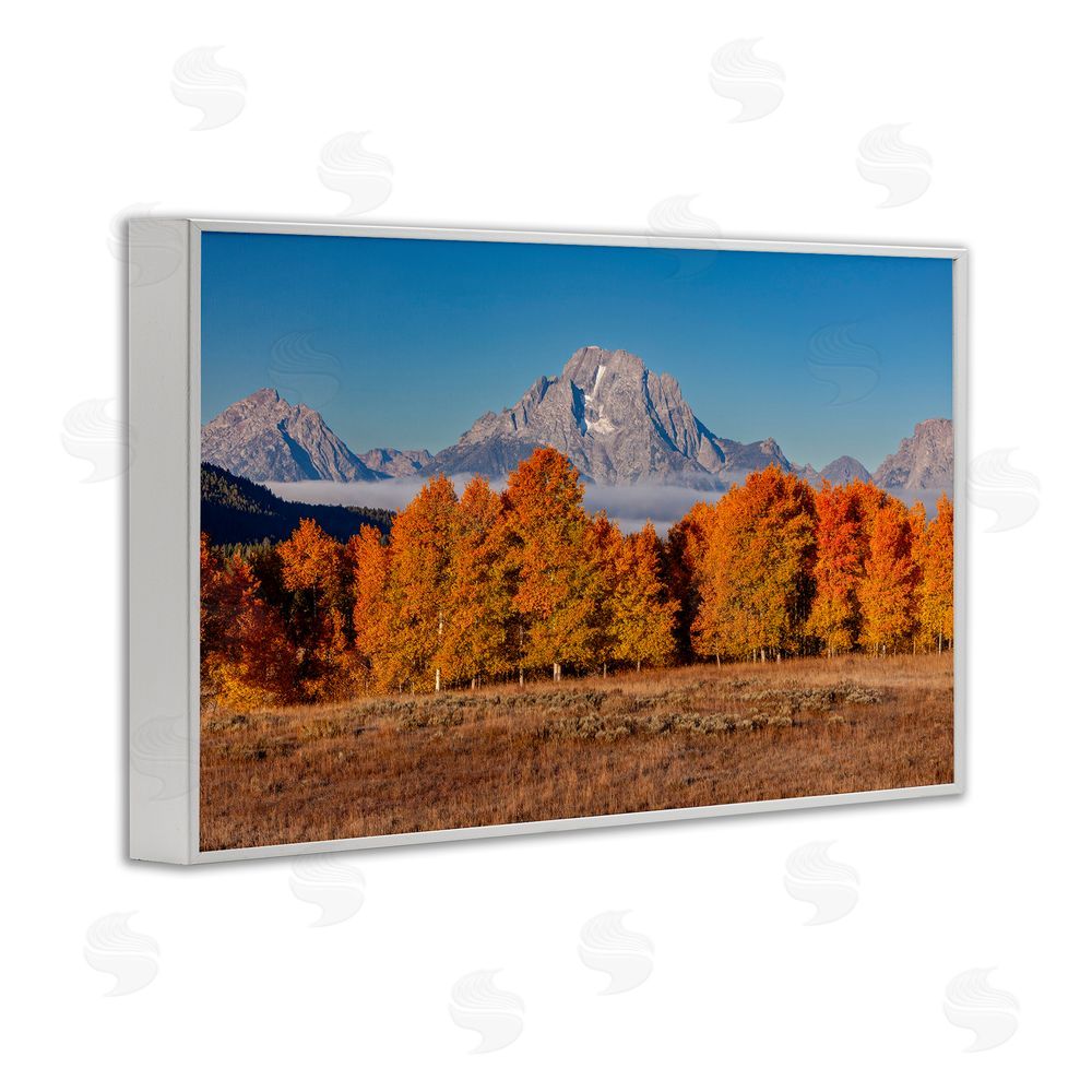 Shelley Carlisle Autumn Tree Line With Mountain White Framed Giclee Print Wall Art
