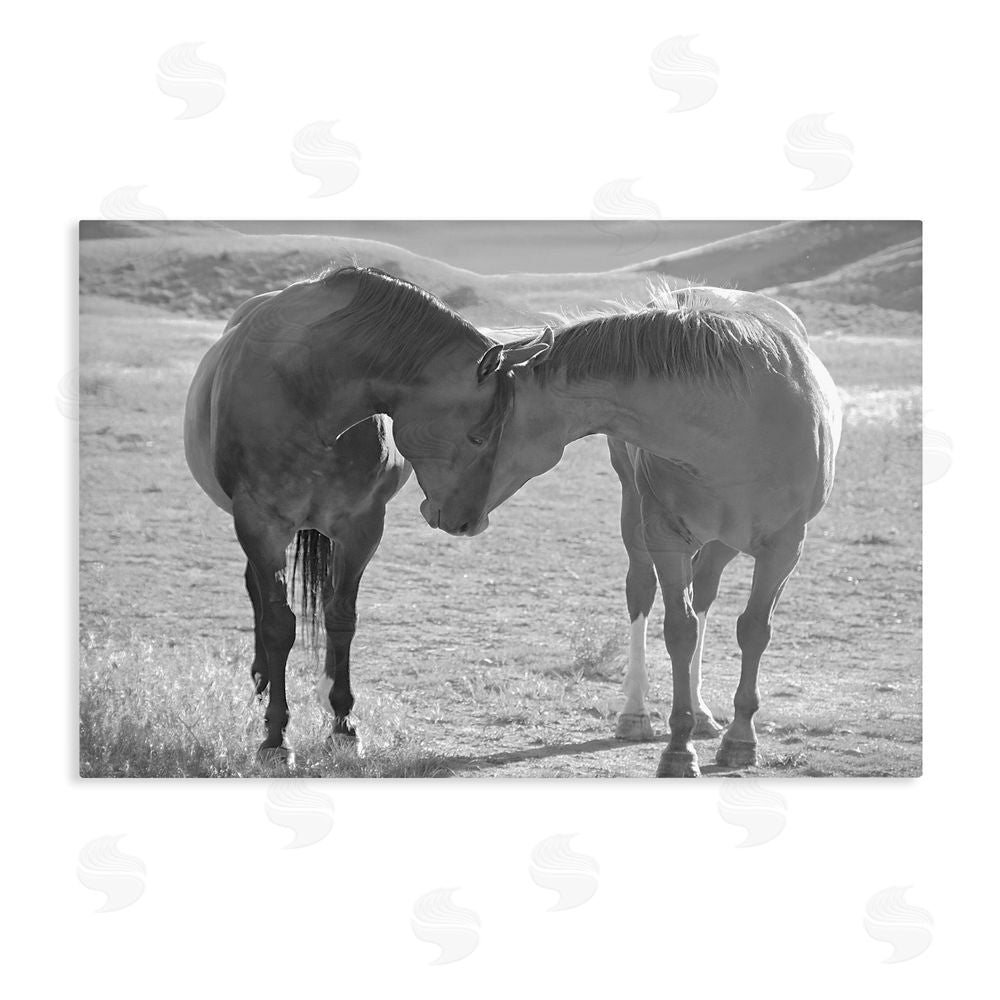 Steve Toole Sweet Nothings Bond Between Horses Stretched Canvas Wall Art Print