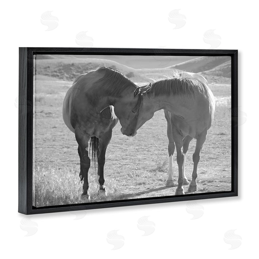 Steve Toole Sweet Nothings Bond Between Horses Black Floating Frame Canvas Wall Art Print