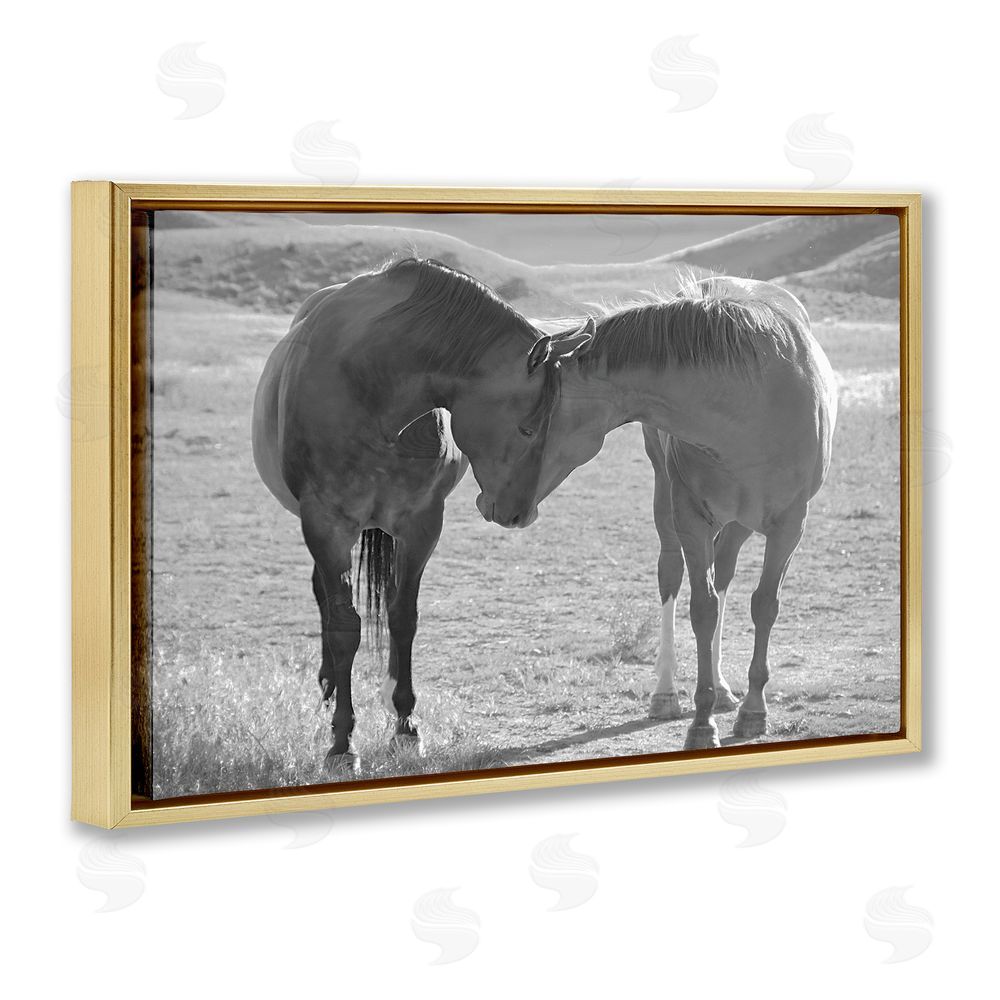 Steve Toole Sweet Nothings Bond Between Horses Gold Floating Frame Canvas Wall Art Print