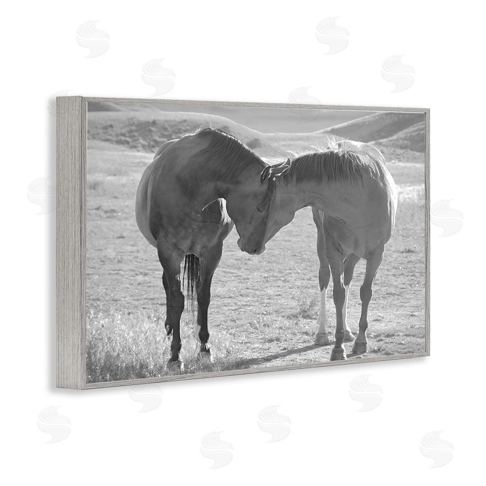 Steve Toole Sweet Nothings Bond Between Horses Gray Framed Giclee Wall Art Print