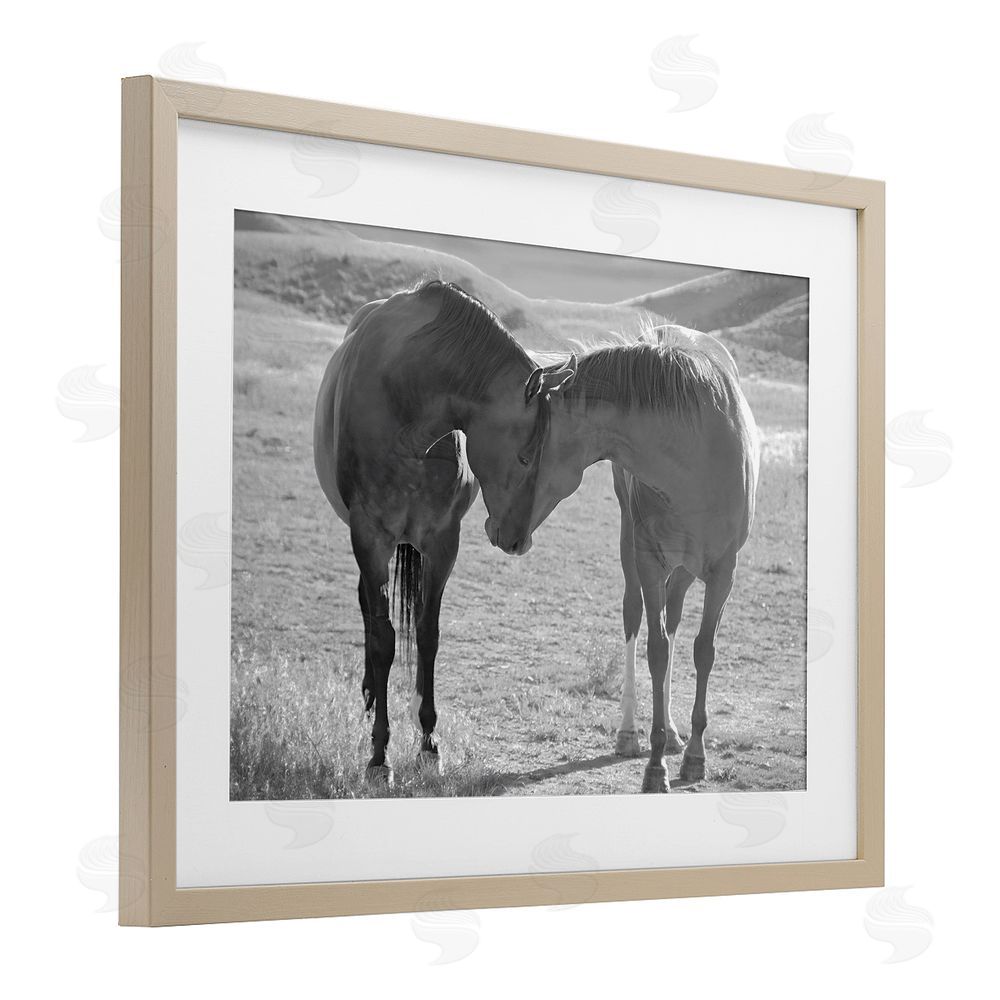 Steve Toole Sweet Nothings Bond Between Horses Brown Framed Print Under Glass Wall Art