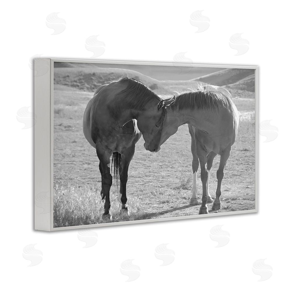 Steve Toole Sweet Nothings Bond Between Horses White Framed Giclee Wall Art Print