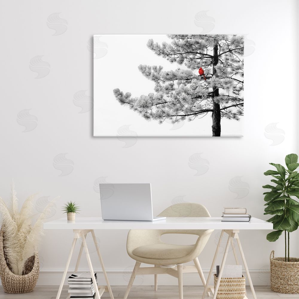 Steve Toole Cardinal in Stark Winter Tree Canvas Art on Wall