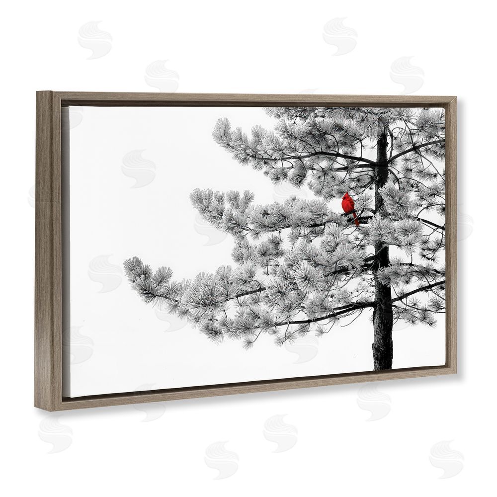 Steve Toole Cardinal in Stark Winter Tree Brown Floating Frame Canvas Wall Art Print