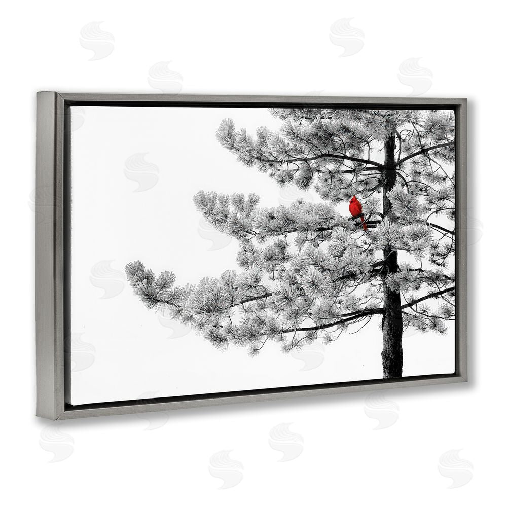 Steve Toole Cardinal in Stark Winter Tree Gray Floating Frame Canvas Wall Art Print