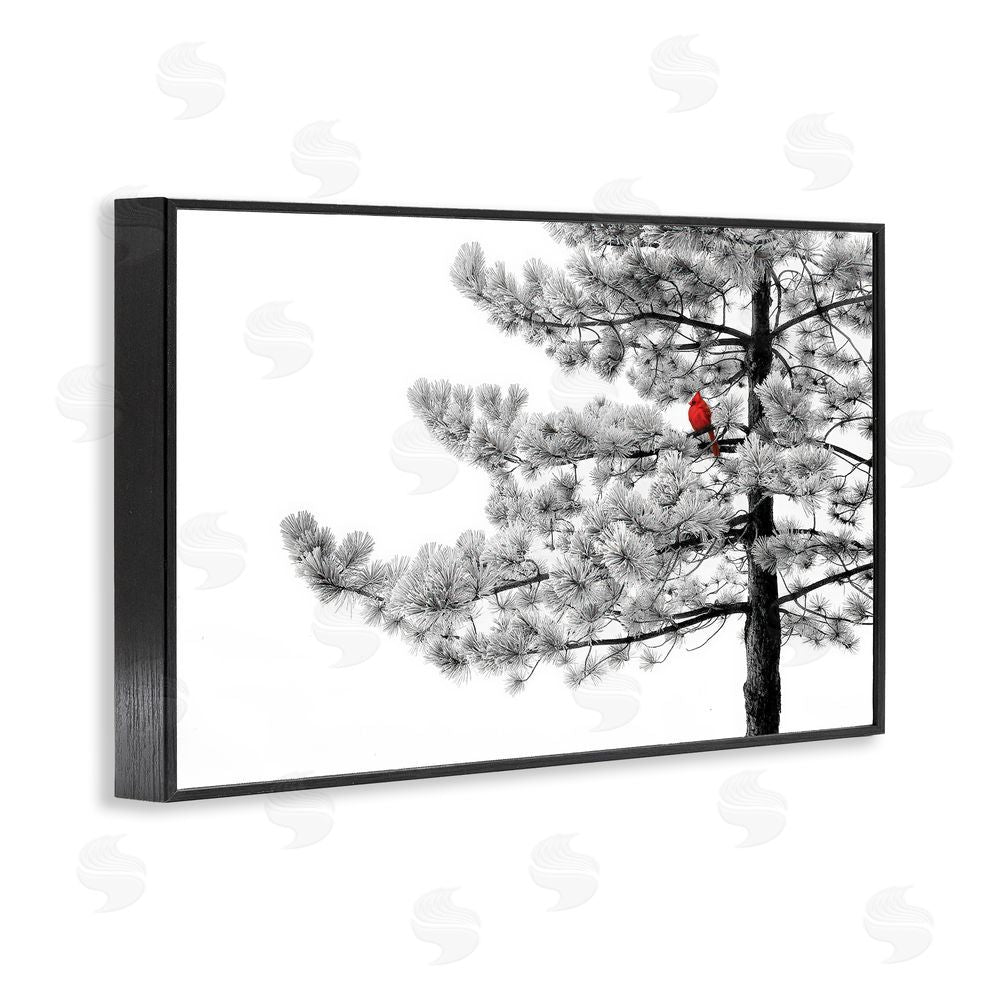Steve Toole Cardinal in Stark Winter Tree Black Framed Giclee Wall Art Print
