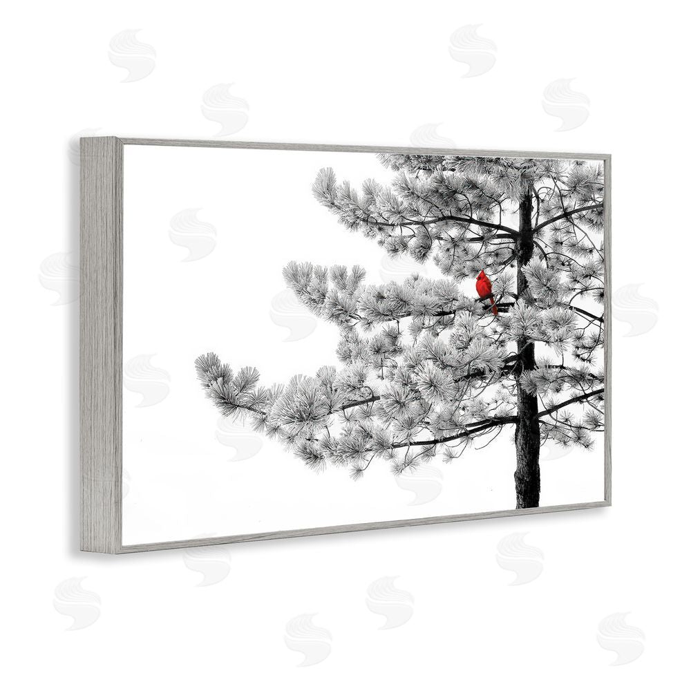 Steve Toole Cardinal in Stark Winter Tree Gray Framed Giclee Wall Art Print