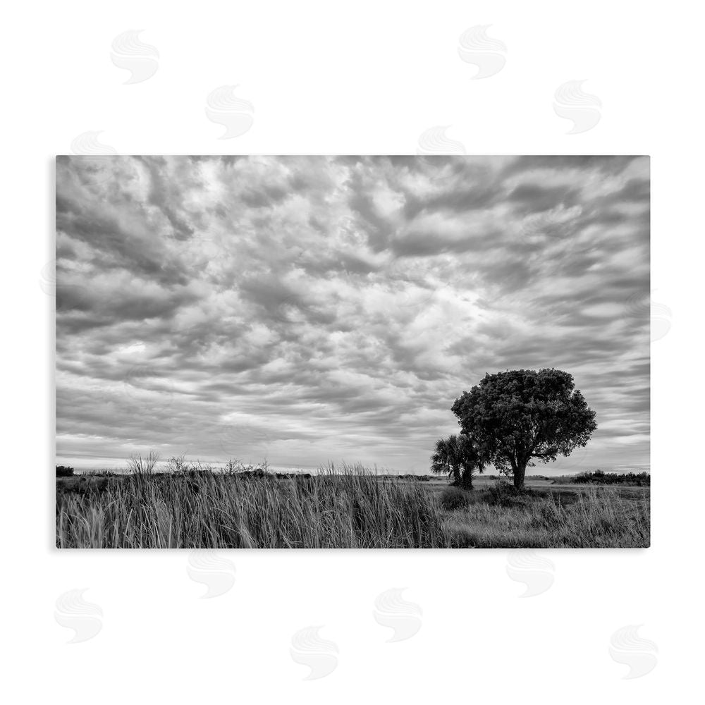 Jon Evan Solitary Tree Beneath Clouds Stretched Canvas Wall Art Print