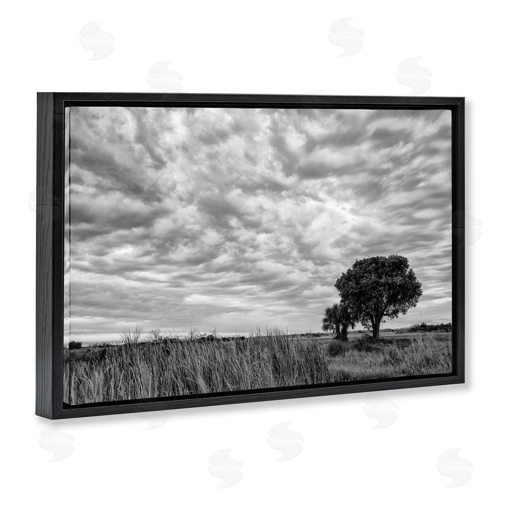 Jon Evan Solitary Tree Beneath Clouds Black Floating Frame Canvas Wall Art Print