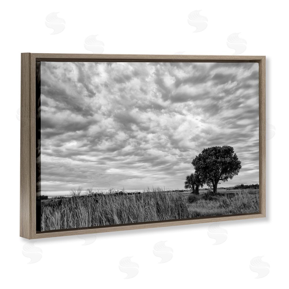 Jon Evan Solitary Tree Beneath Clouds Brown Floating Frame Canvas Wall Art Print