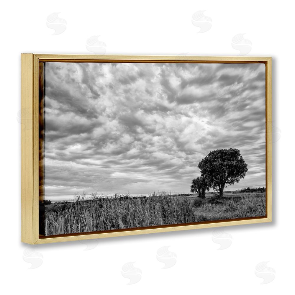 Jon Evan Solitary Tree Beneath Clouds Gold Floating Frame Canvas Wall Art Print