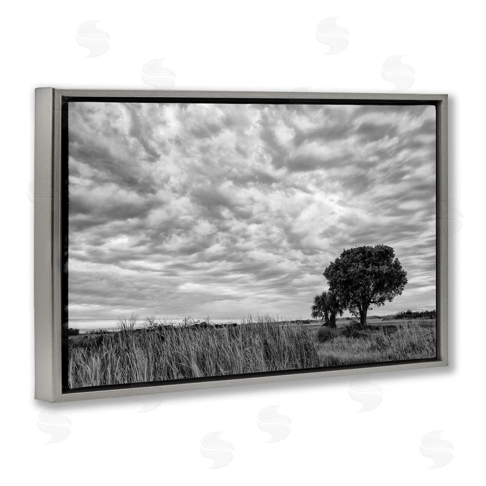Jon Evan Solitary Tree Beneath Clouds Gray Floating Frame Canvas Wall Art Print
