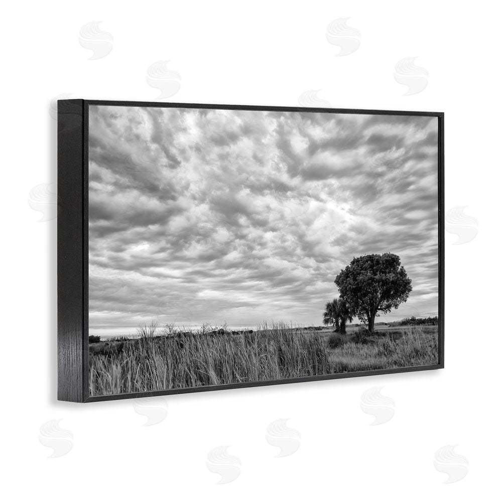 Jon Evan Solitary Tree Beneath Clouds Black Framed Giclee Wall Art Print