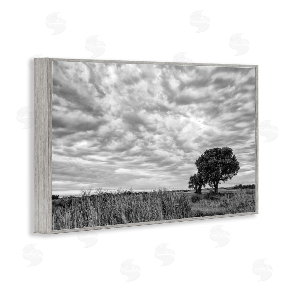 Jon Evan Solitary Tree Beneath Clouds Gray Framed Giclee Wall Art Print