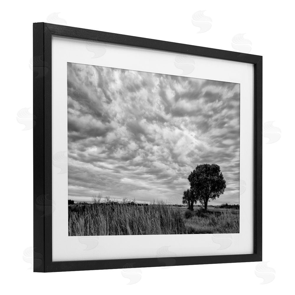 Jon Evan Solitary Tree Beneath Clouds Black Framed Print Under Glass Wall Art