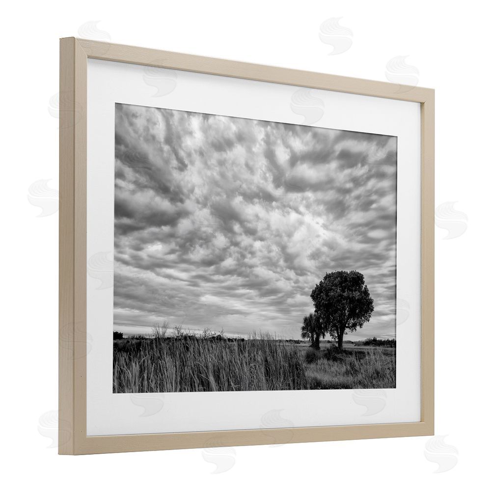 Jon Evan Solitary Tree Beneath Clouds Brown Framed Print Under Glass Wall Art