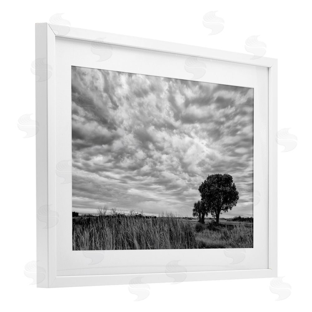 Jon Evan Solitary Tree Beneath Clouds White Framed Print Under Glass Wall Art