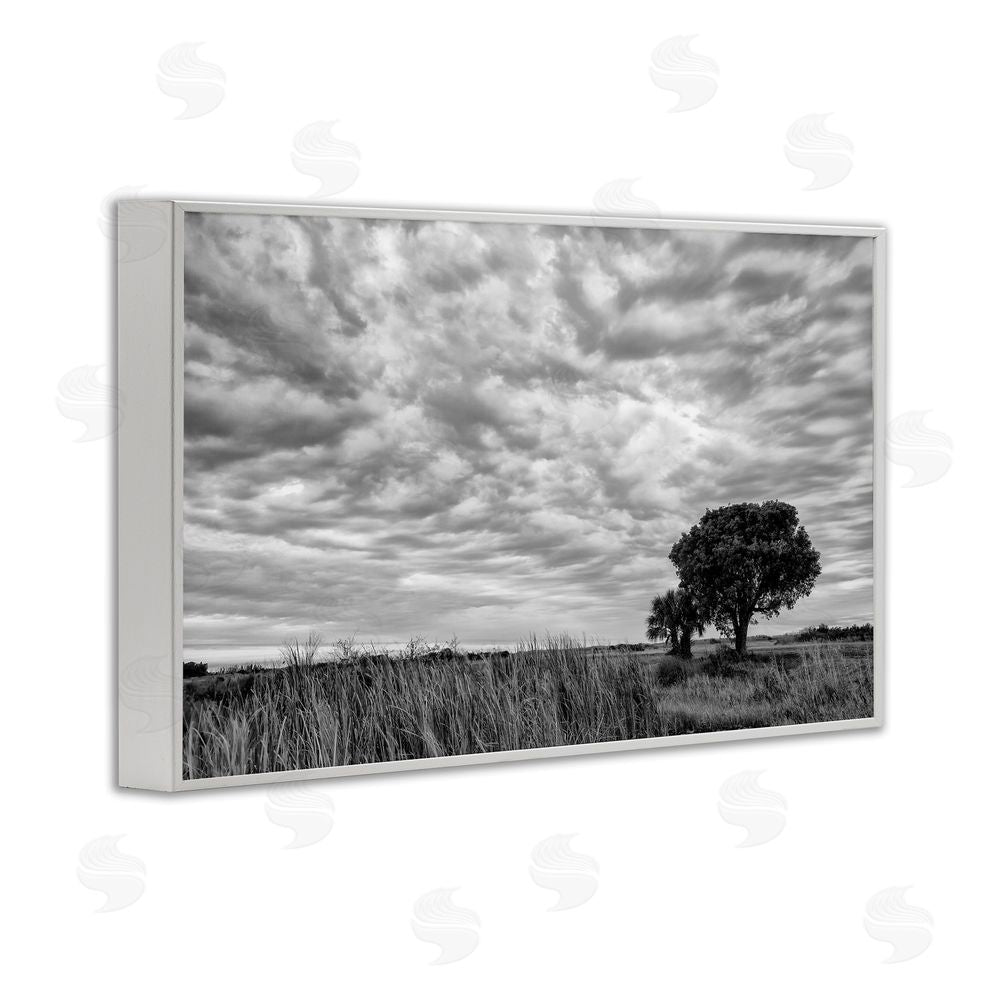 Jon Evan Solitary Tree Beneath Clouds White Framed Giclee Wall Art Print