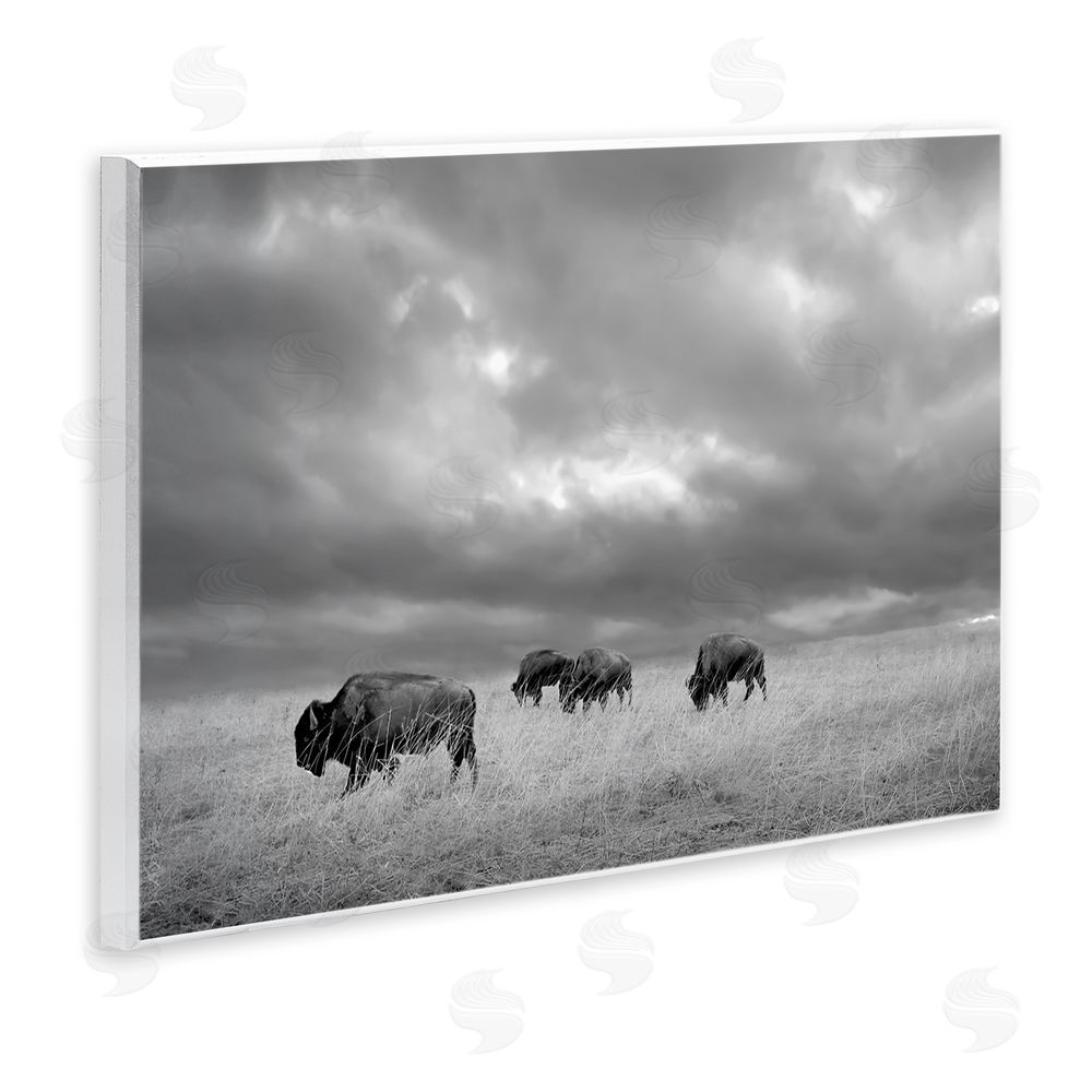 Steve Toole Bisons Under an Autumn Sky Wooden Wall Plaque Art Print