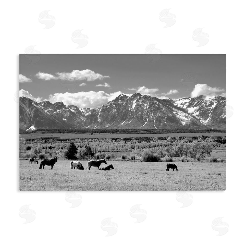 Steve Toole Wyoming Ranch Horses Grazing Stretched Canvas Wall Art Print