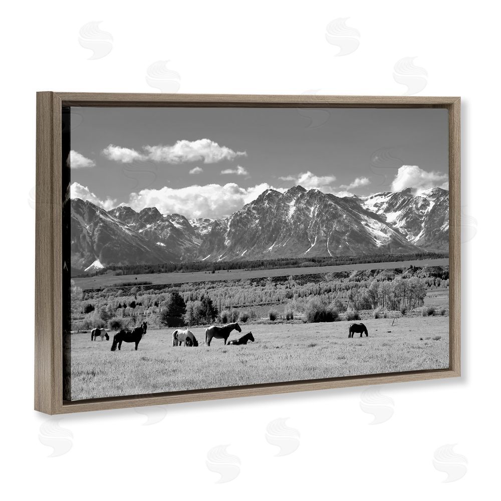 Steve Toole Wyoming Ranch Horses Grazing Brown Floating Frame Canvas Wall Art Print
