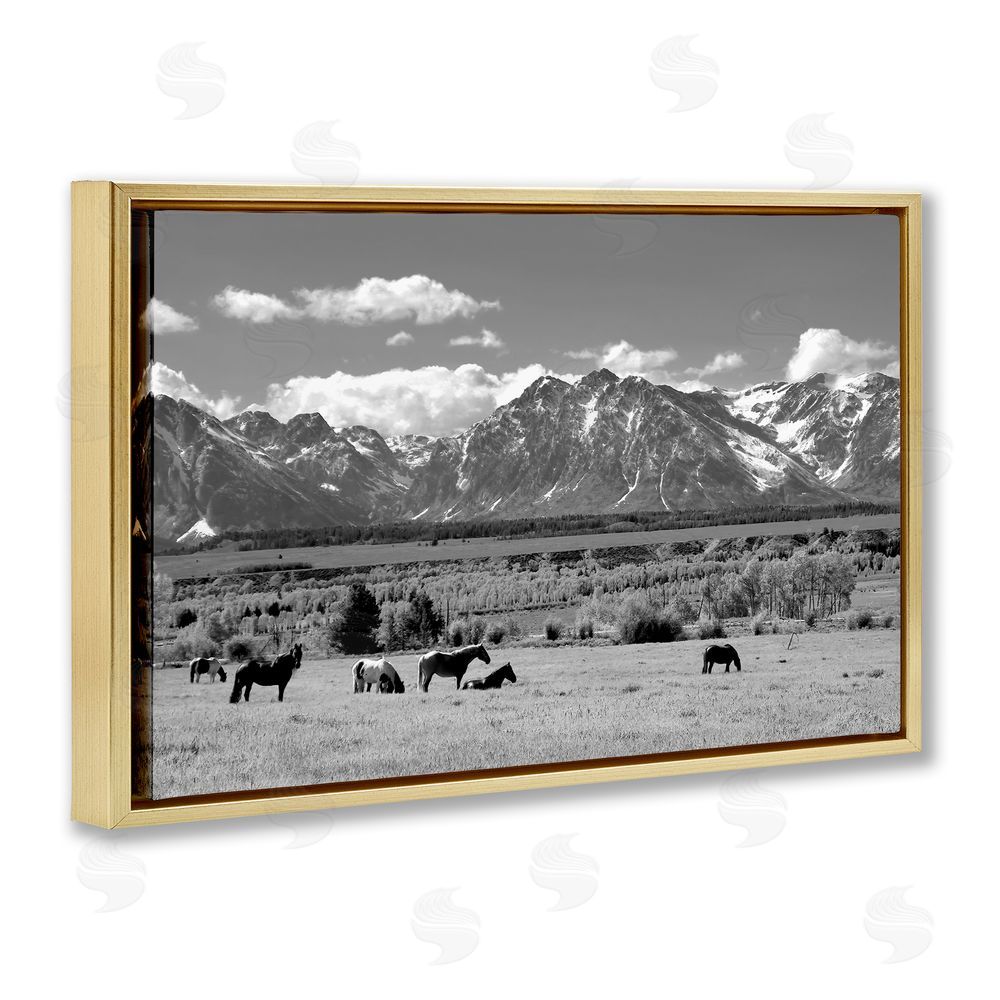 Steve Toole Wyoming Ranch Horses Grazing Gold Floating Frame Canvas Wall Art Print