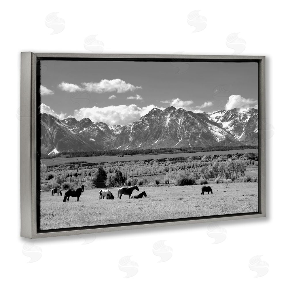 Steve Toole Wyoming Ranch Horses Grazing Gray Floating Frame Canvas Wall Art Print