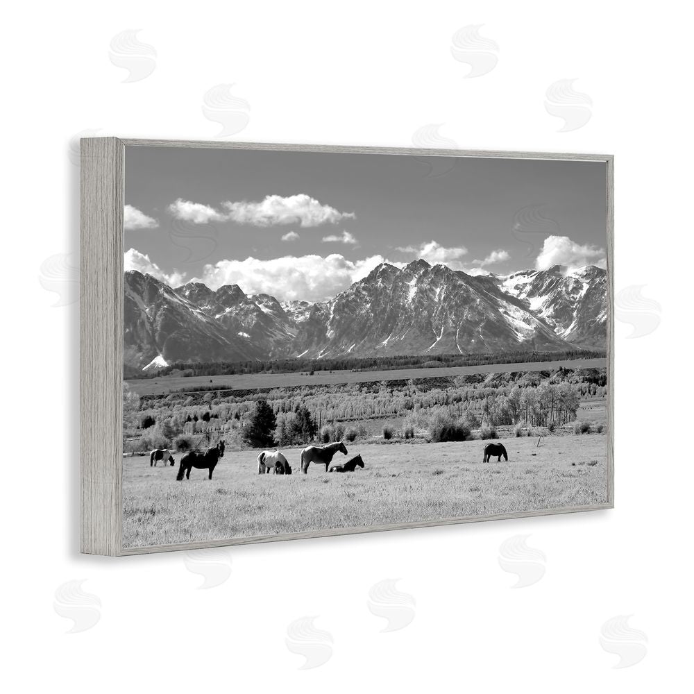 Steve Toole Wyoming Ranch Horses Grazing Gray Framed Giclee Wall Art Print