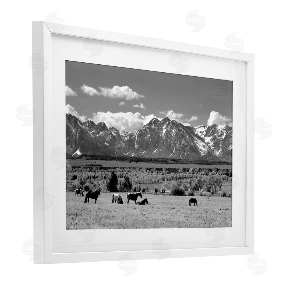 Steve Toole Wyoming Ranch Horses Grazing White Framed Print Under Glass Wall Art