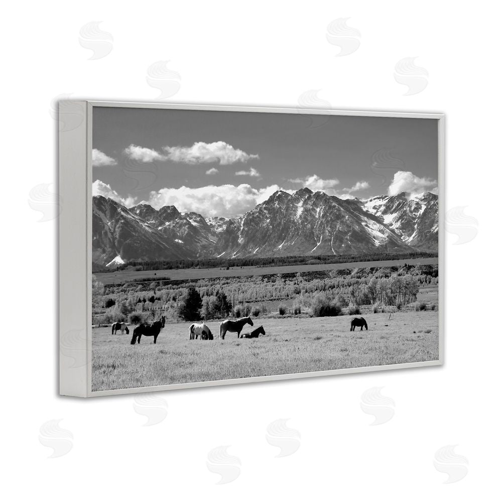 Steve Toole Wyoming Ranch Horses Grazing White Framed Giclee Wall Art Print
