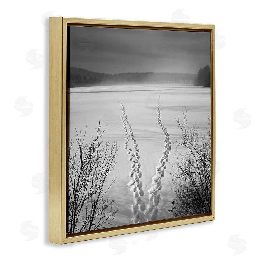 Chip Forelli Snowstep Tracks Across Frozen Lakes Gold Floating Framed Canvas Wall Art Print