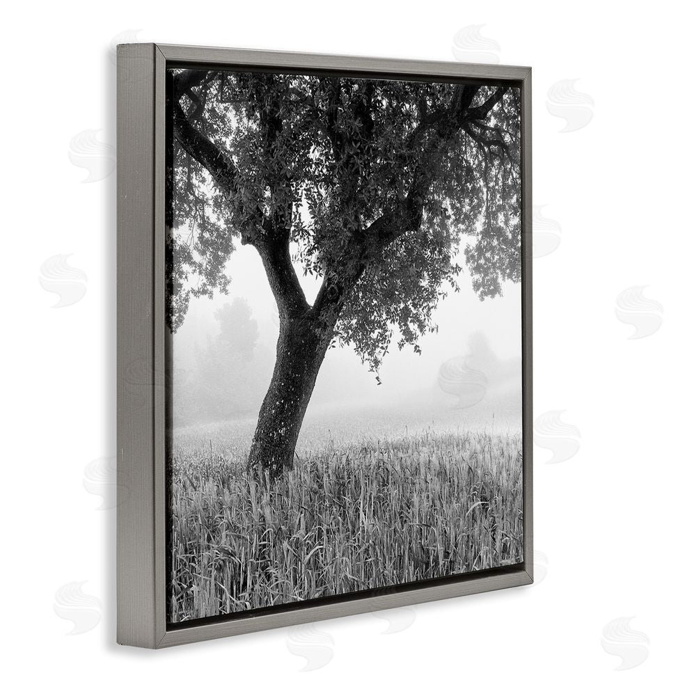 Chip Forelli Tuscan Morning Oak in Mist Gray Floating Framed Canvas Wall Art Print
