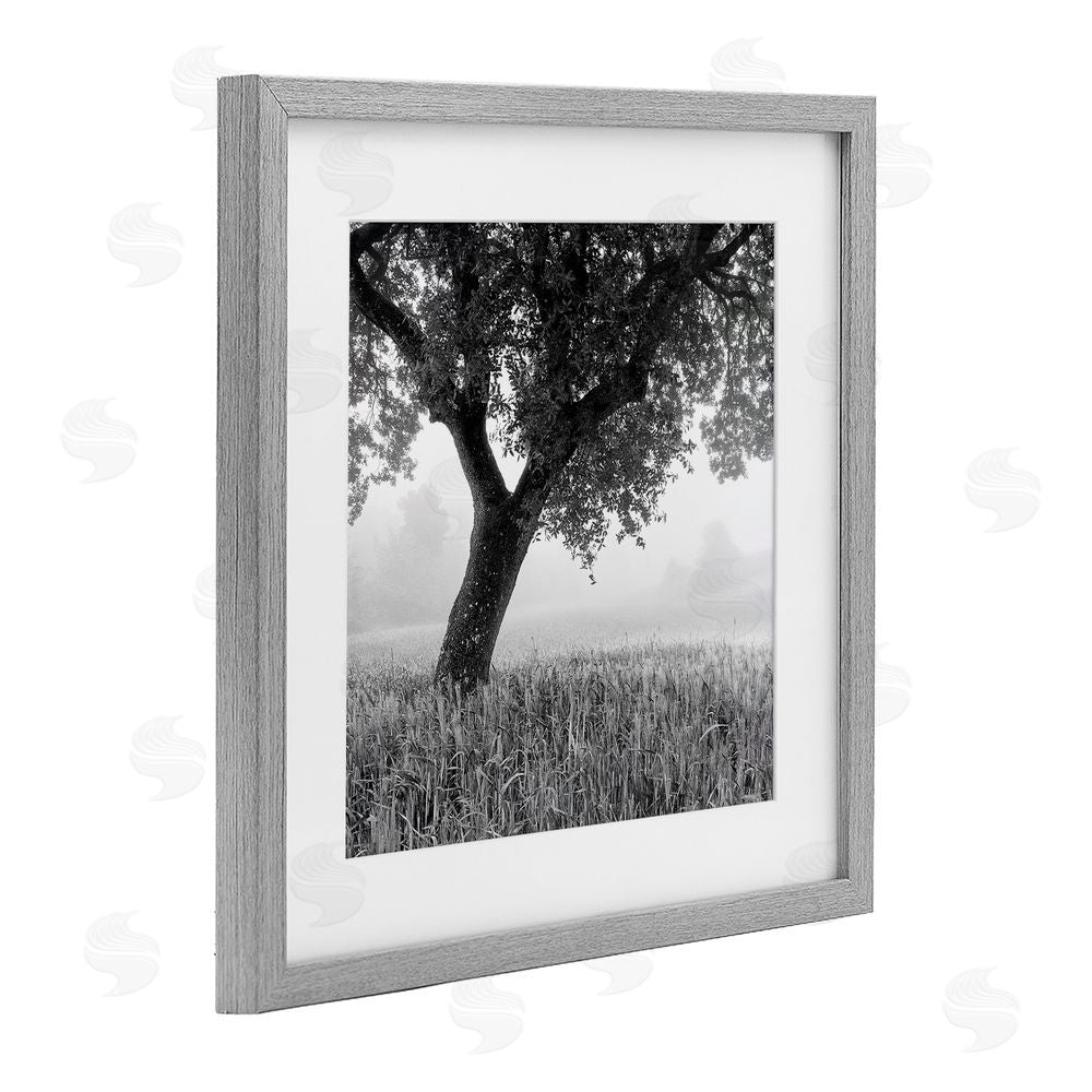 Chip Forelli Tuscan Morning Oak in Mist Gray Framed Print Under Glass with White Mat Wall Art