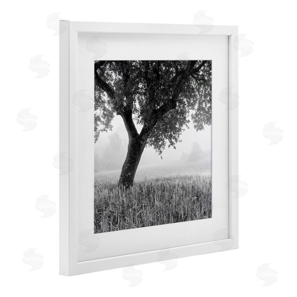 Chip Forelli Tuscan Morning Oak in Mist White Framed Print Under Glass with White Mat Wall Art
