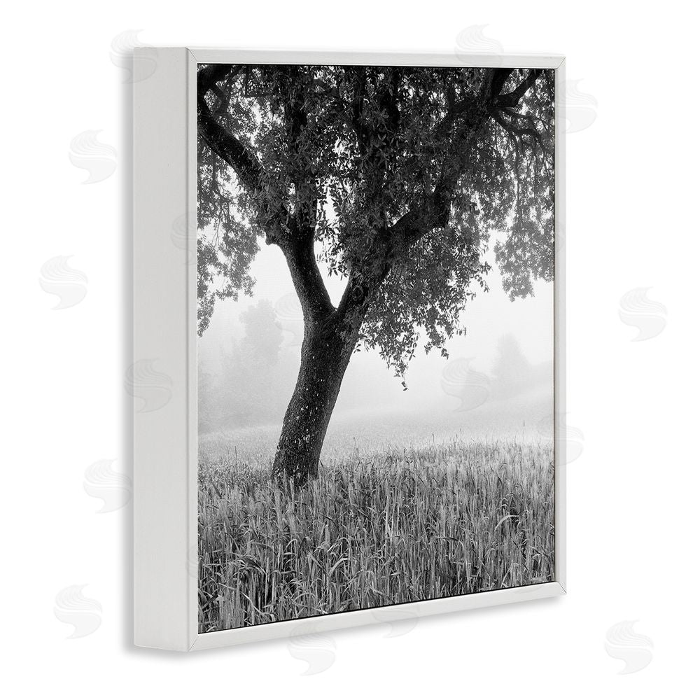 Chip Forelli Tuscan Morning Oak in Mist White Framed Giclee Wall Art Print