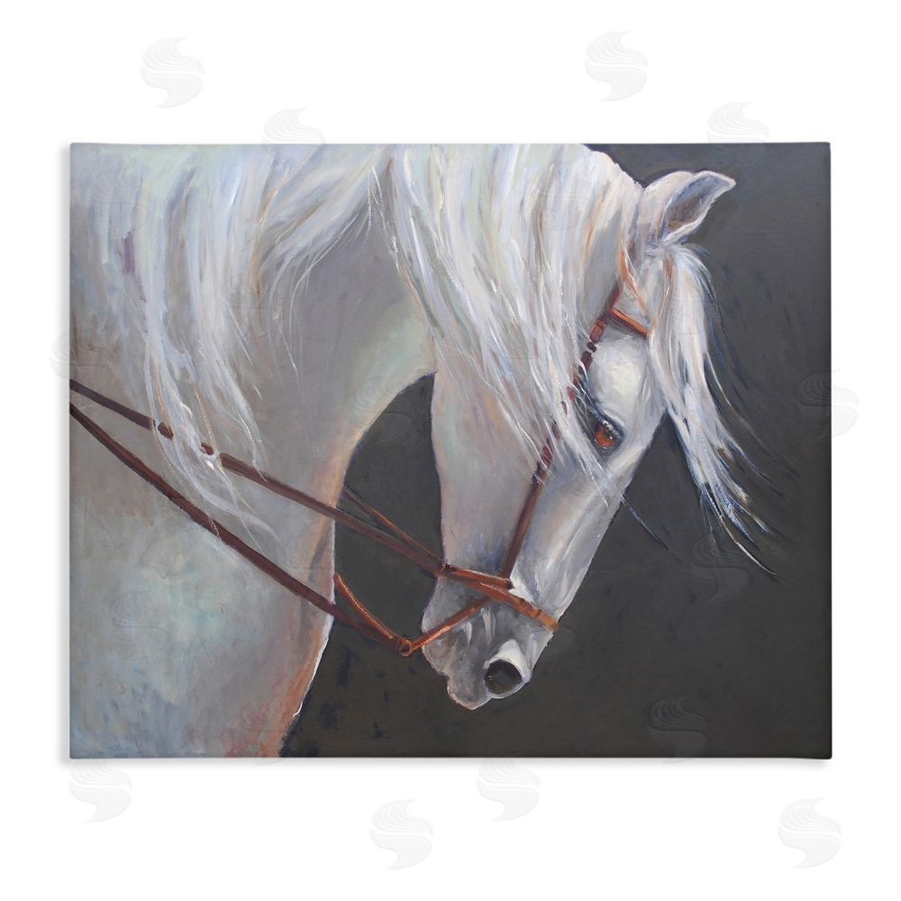 Jadei Graphics Majestic White Mare Stretched Canvas Wall Art Print