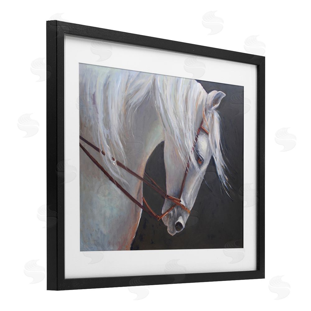 Jadei Graphics Majestic White Mare Black Framed Print Under Glass Wall Art
