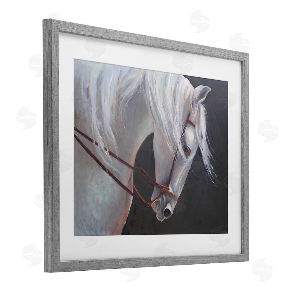 Jadei Graphics Majestic White Mare Gray Framed Print Under Glass Wall Art