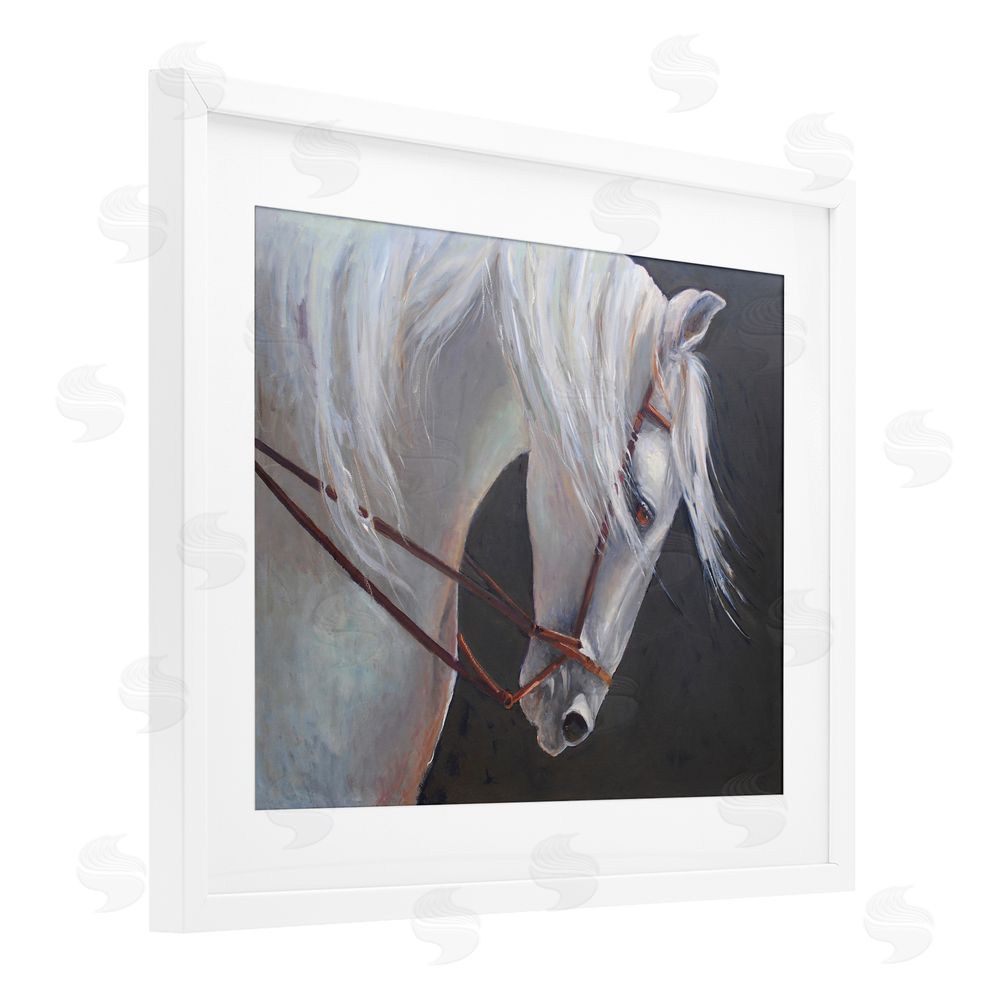 Jadei Graphics Majestic White Mare White Framed Print Under Glass Wall Art