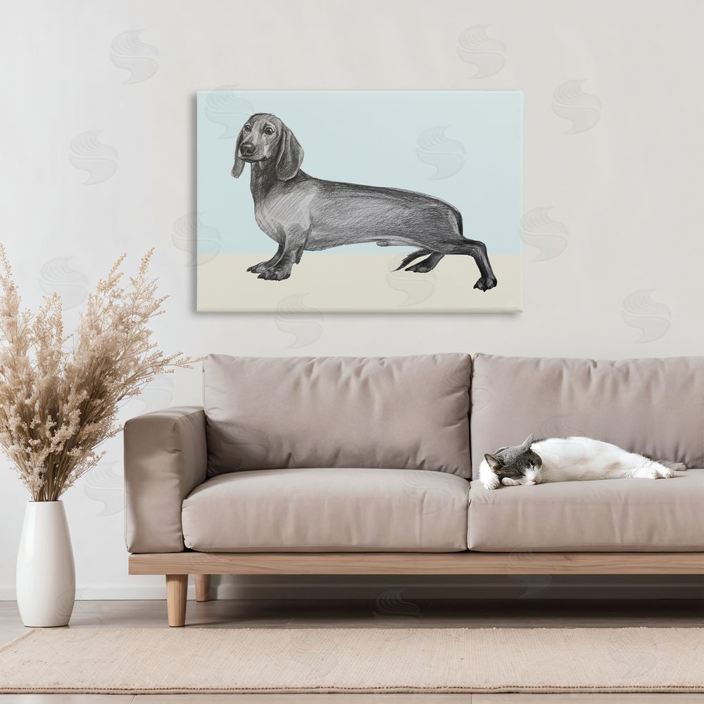 Violeta Vollmer Sketched Dachshund on Blue Stretched Canvas Wall Art in Room