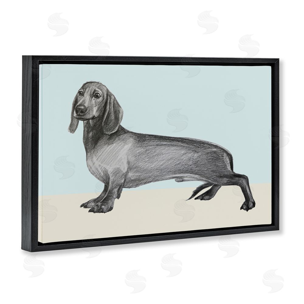 Violeta Vollmer Sketched Dachshund on Blue Black Floating Frame Canvas Wall Art Print