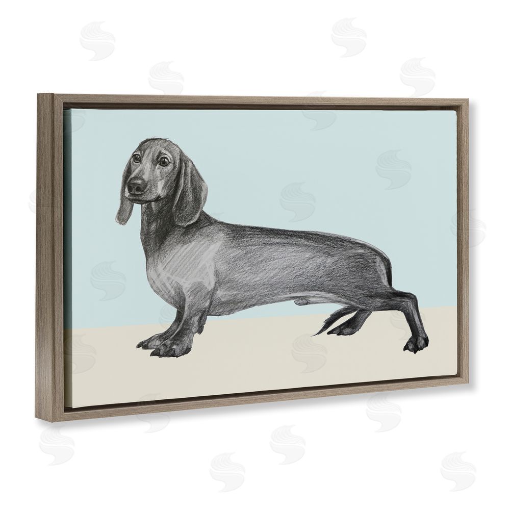 Violeta Vollmer Sketched Dachshund on Blue Brown Floating Frame Canvas Wall Art Print