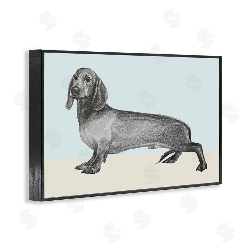 Violeta Vollmer Sketched Dachshund on Blue Black Framed Giclee Wall Art Print