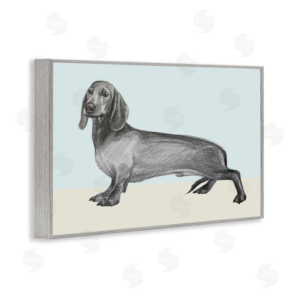 Violeta Vollmer Sketched Dachshund on Blue Gray Framed Giclee Wall Art Print