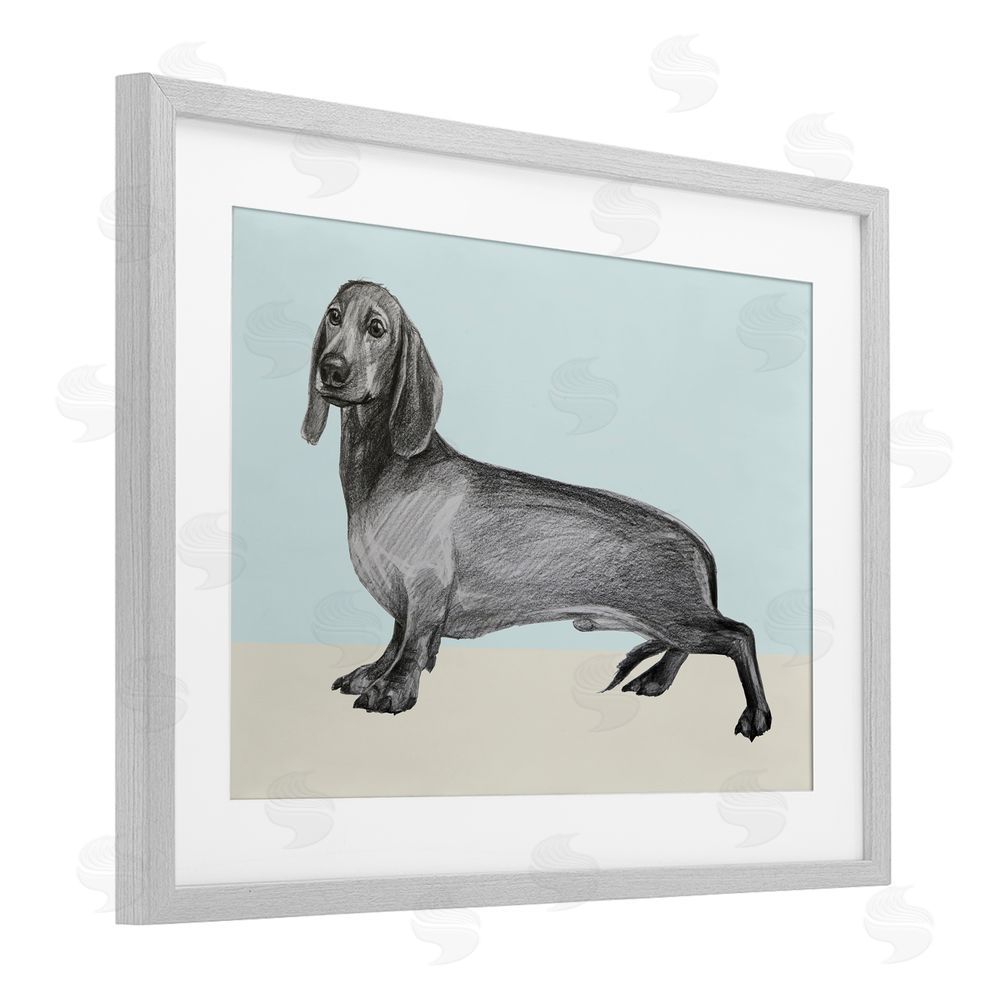 Violeta Vollmer Sketched Dachshund on Blue Gray Framed Print Under Glass Wall Art